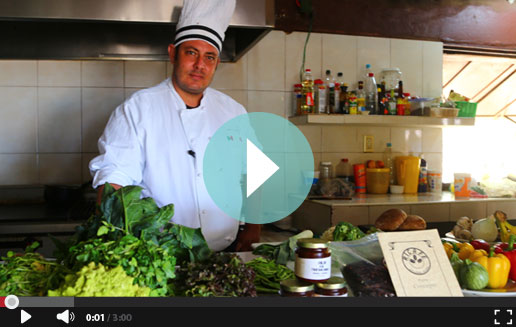 Video - Bahía de la Luna