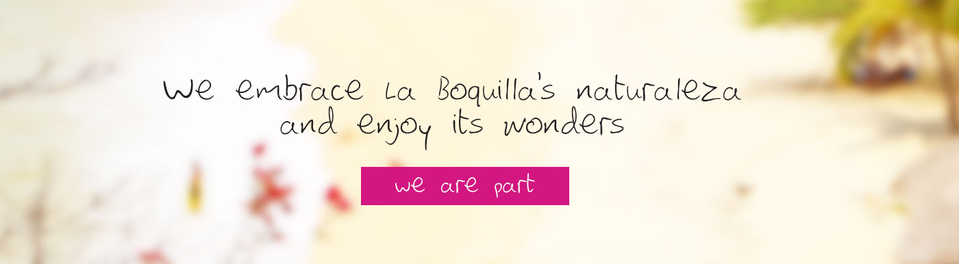 La boquilla Oaxaca Naturaleza